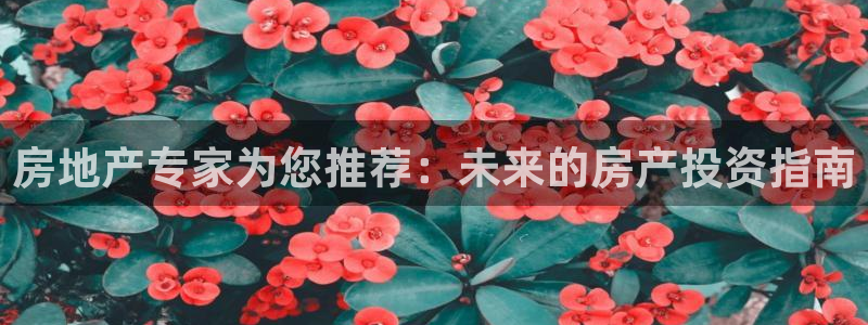 新宝5娱乐手机登录：房地产专家为您推荐：未来的房产投资指南