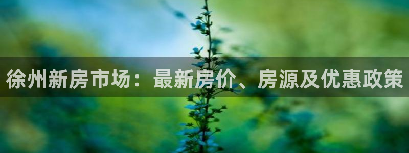 新宝5娱乐登陆：徐州新房市场：最新房价、房源及优惠政策