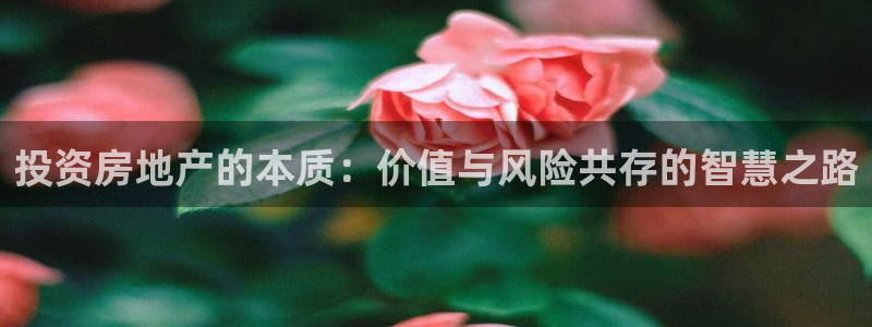 新宝5注册平台：投资房地产的本质：价值与风险共存的智慧之路