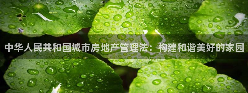 新宝5注册链接：中华人民共和国城市房地产管理法：构建和谐美好