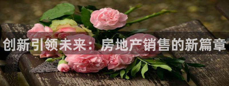 新宝5软件下载：创新引领未来：房地产销售的新篇章