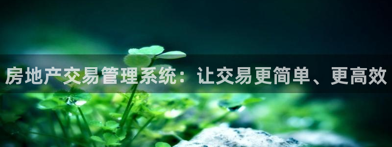 新宝5注册账号：房地产交易管理系统：让交易更简单、更高效