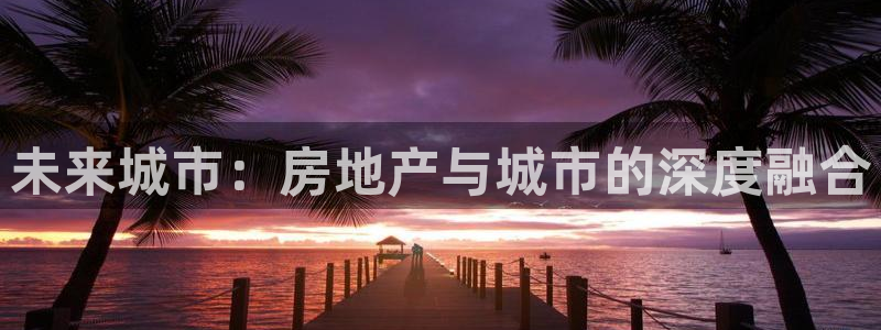 新宝5电脑登录网址：未来城市：房地产与城市的深度融合