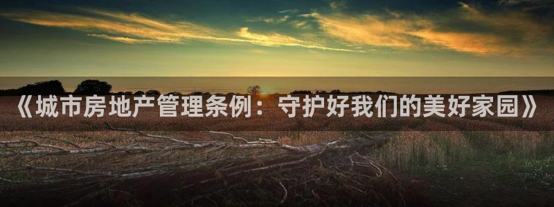 新宝5娱乐如：《城市房地产管理条例：守护好我们的美好家园》