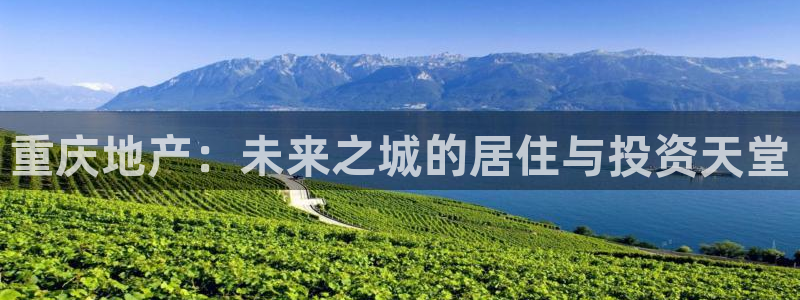 新宝5官网平台：重庆地产：未来之城的居住与投资天堂