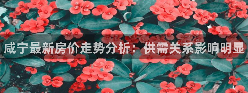 新宝5测速登录：咸宁最新房价走势分析：供需关系影响明显