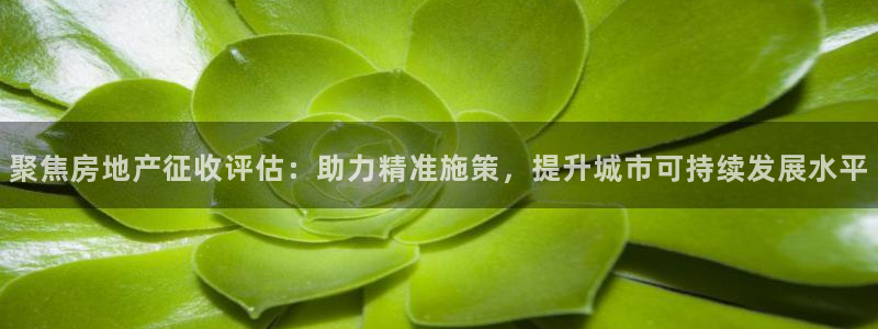 新宝5注册首页：聚焦房地产征收评估：助力精准施策，提升城市可