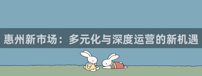 新宝3得74OO5：惠州新市场：多元化与深度运营的新机遇