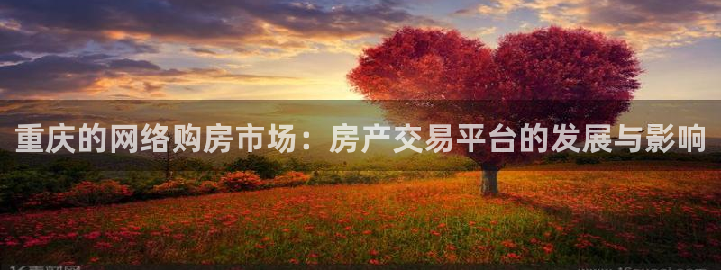 新宝5招商部：重庆的网络购房市场：房产交易平台的发展与影响