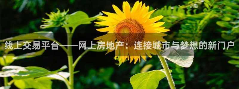 新宝5登录网址：线上交易平台——网上房地产：连接城市与梦想的