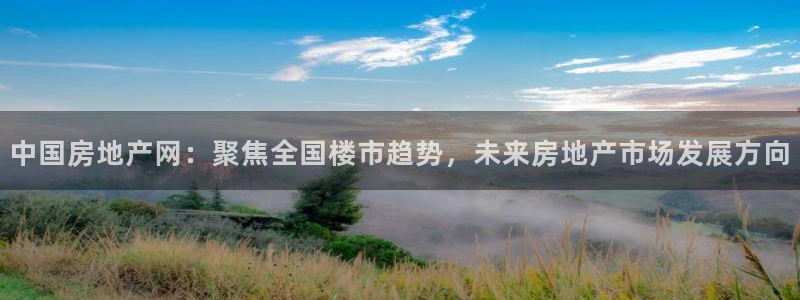 新宝5娱乐如：中国房地产网：聚焦全国楼市趋势，未来房地产市场