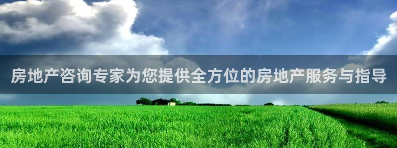 新宝5登录不了：房地产咨询专家为您提供全方位的房地产服务与指