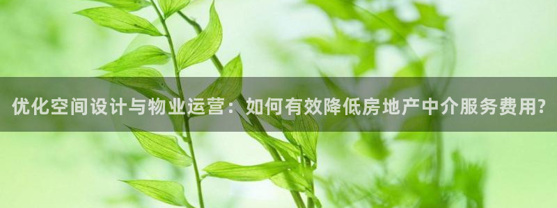 新宝5注册登录：优化空间设计与物业运营：如何有效降低房地产中