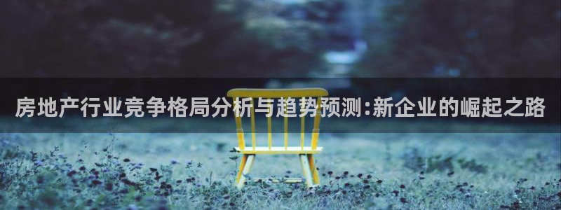 新宝_5：房地产行业竞争格局分析与趋势预测:新企业的崛起之路