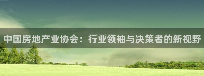新宝5娱乐都：中国房地产业协会：行业领袖与决策者的新视野