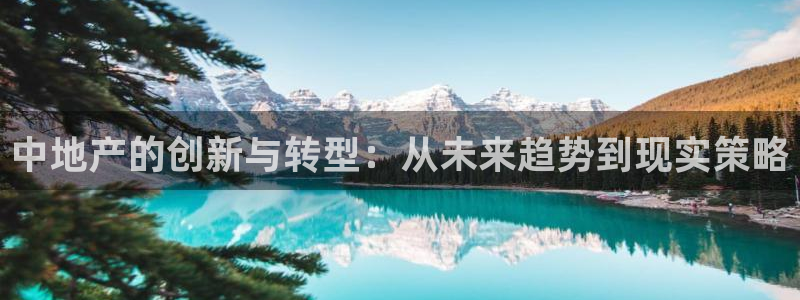 新宝5彩票是正规平台吗：中地产的创新与转型：从未来趋势到现实