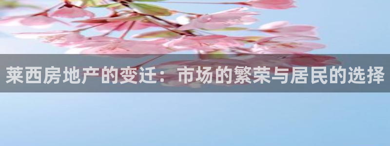 新宝5黑：莱西房地产的变迁：市场的繁荣与居民的选择