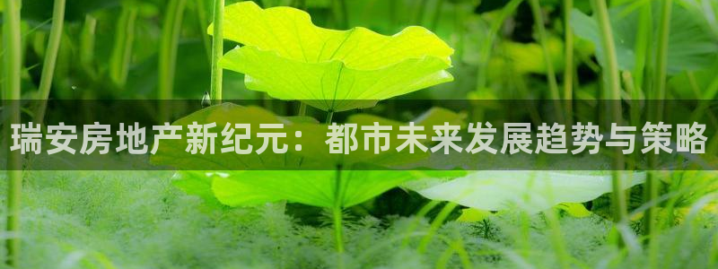 新宝5周74OOO5：瑞安房地产新纪元：都市未来发展趋势与策