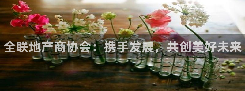 新宝5现在还能玩吗：全联地产商协会：携手发展，共创美好未来