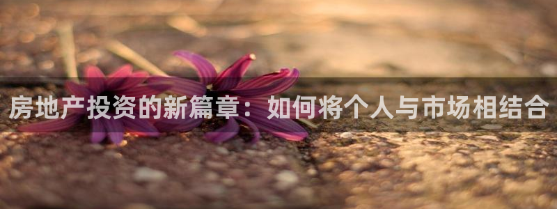 新宝5直属：房地产投资的新篇章：如何将个人与市场相结合
