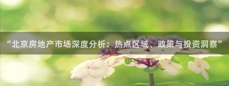 新宝5测速登陆：“北京房地产市场深度分析：热点区域、政策与投