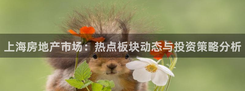 新宝5平台霸：上海房地产市场：热点板块动态与投资策略分析
