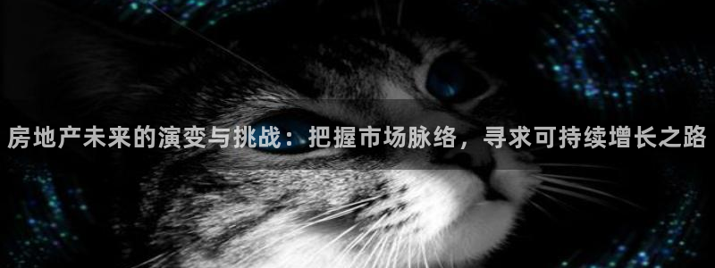 新宝5挂机：房地产未来的演变与挑战：把握市场脉络，寻求可持续