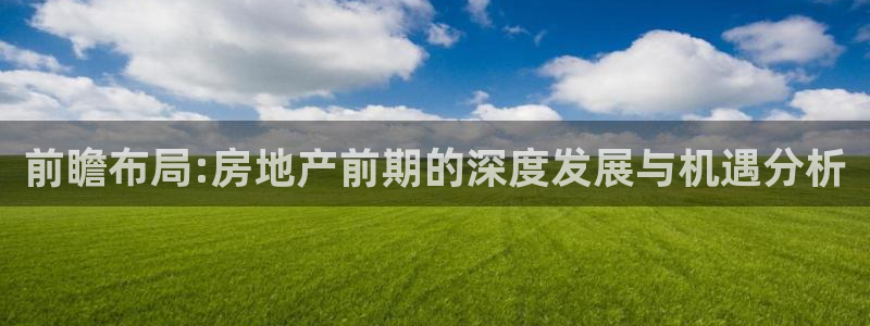 新宝娱乐5：前瞻布局:房地产前期的深度发展与机遇分析