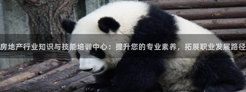 新宝5注册登录：房地产行业知识与技能培训中心：提升您的专业素