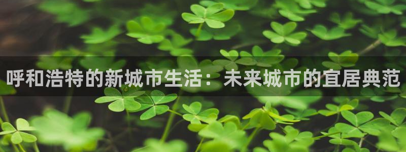 新宝5地址：呼和浩特的新城市生活：未来城市的宜居典范
