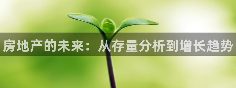 新宝5手机版