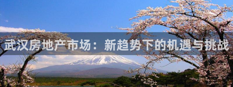 新宝5测速登录：武汉房地产市场：新趋势下的机遇与挑战