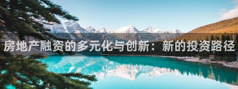 新宝5总代：房地产融资的多元化与创新：新的投资路径