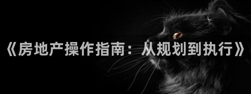 新宝5在哪里：《房地产操作指南：从规划到执行》