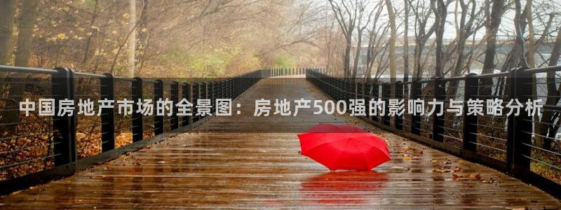 新宝5秒开：中国房地产市场的全景图：房地产500强的影响力与