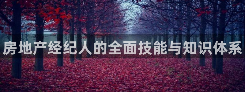 新宝5平台登录：房地产经纪人的全面技能与知识体系