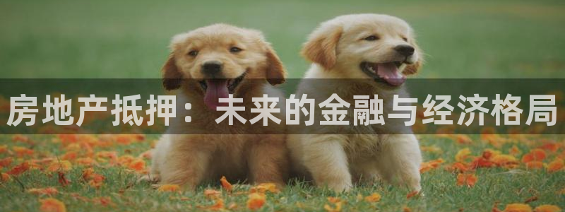 新宝5娱乐都：房地产抵押：未来的金融与经济格局