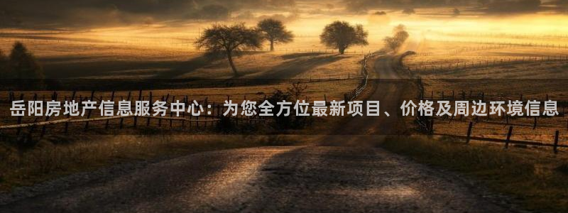 新宝5娱乐：岳阳房地产信息服务中心：为您全方位最新项目、价格