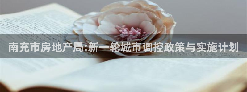 新宝5登录注册：南充市房地产局:新一轮城市调控政策与实施计划
