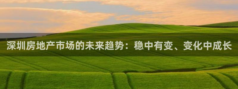 新宝5：深圳房地产市场的未来趋势：稳中有变、变化中成长