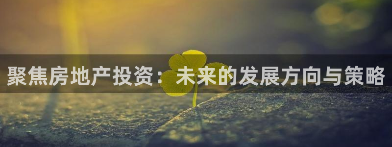 新宝5卫74OOO5：聚焦房地产投资：未来的发展方向与策略