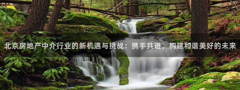 新宝5手机版：北京房地产中介行业的新机遇与挑战：携手共进，构