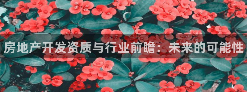 新宝5娱乐注：房地产开发资质与行业前瞻：未来的可能性