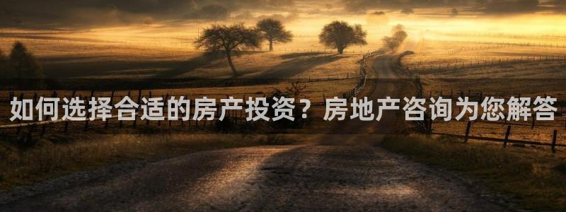 新宝5平台登录：如何选择合适的房产投资？房地产咨询为您解答