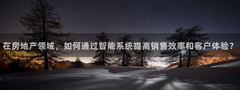 新宝cR一5：在房地产领域，如何通过智能系统提高销售效率和客