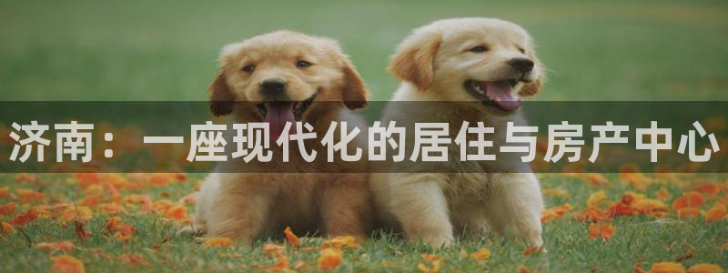 新宝5黑彩：济南：一座现代化的居住与房产中心