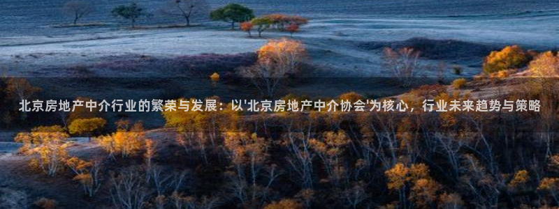 新宝5台卡：北京房地产中介行业的繁荣与发展：以\'北京房地产