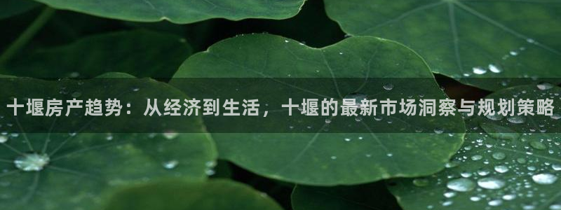 新宝新5：十堰房产趋势：从经济到生活，十堰的最新市场洞察与规