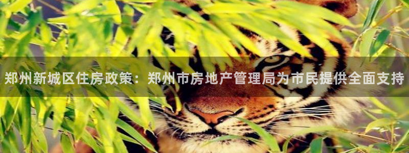 新宝5得74OOO5：郑州新城区住房政策：郑州市房地产管理局