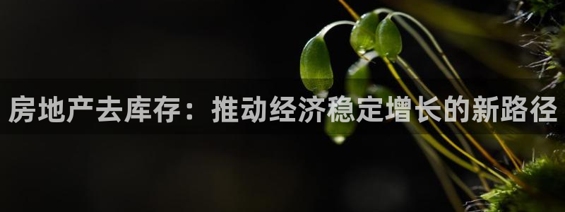 新宝5线路登录检测：房地产去库存：推动经济稳定增长的新路径